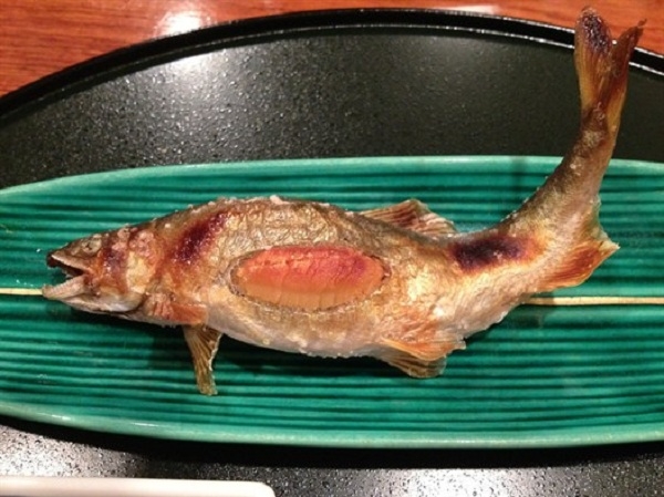 Thú câu và nướng cá suối Ayu ở Nhật Bản 2