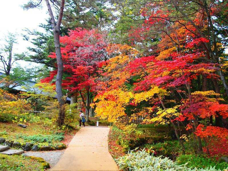 Những địa điểm ngắm mùa lá đỏ lý tưởng nhất tại Nhật Bản 