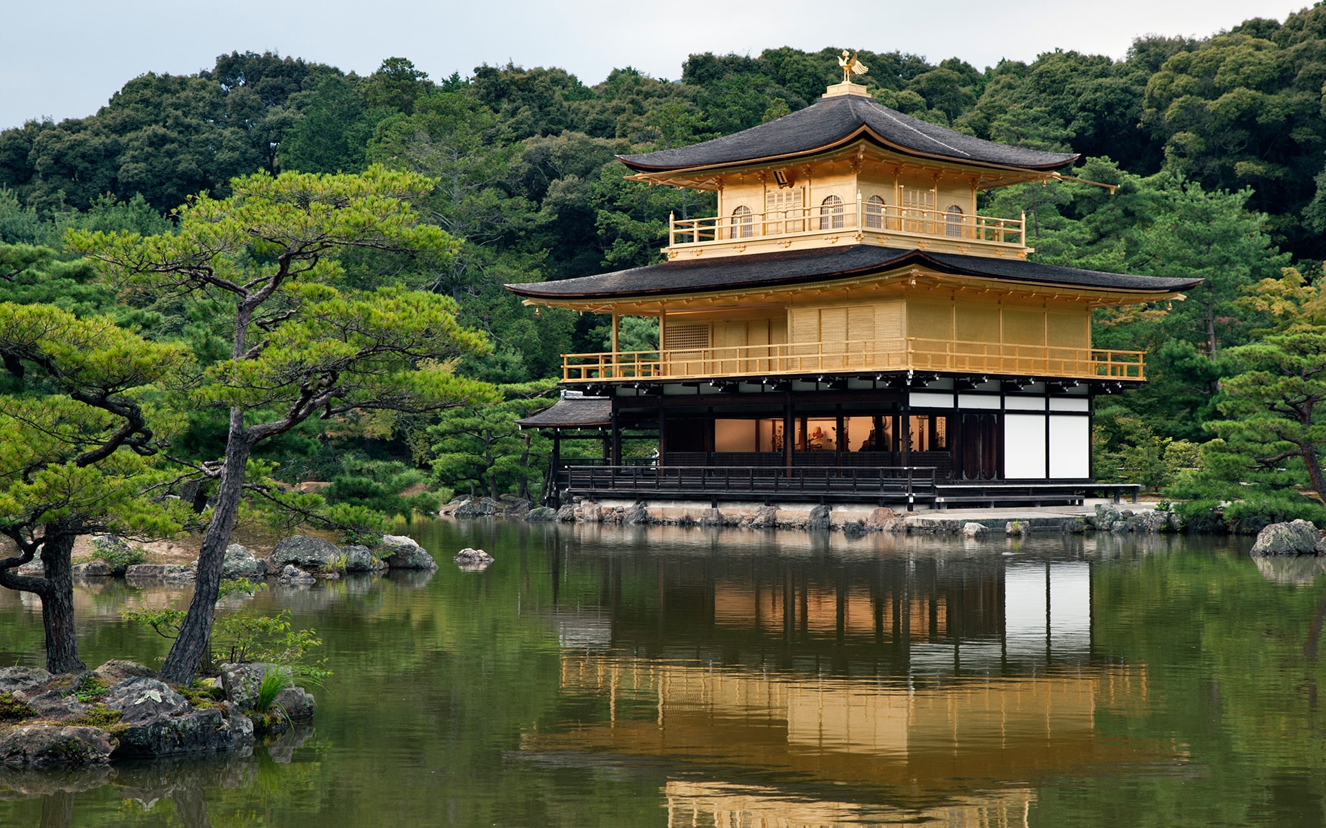 Tầm quan trọng của gỗ trong kiến trúc nhà ở Nhật Bản